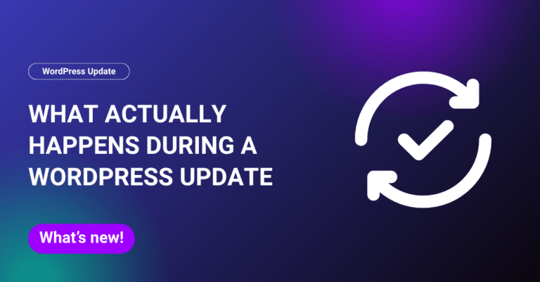 What Actually Happens During a WordPress Update