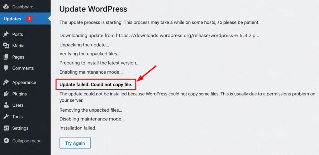 Update WordPress